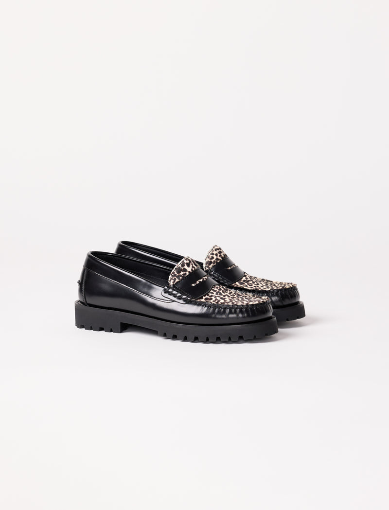 Amaya – Pony Leopard - Image principale