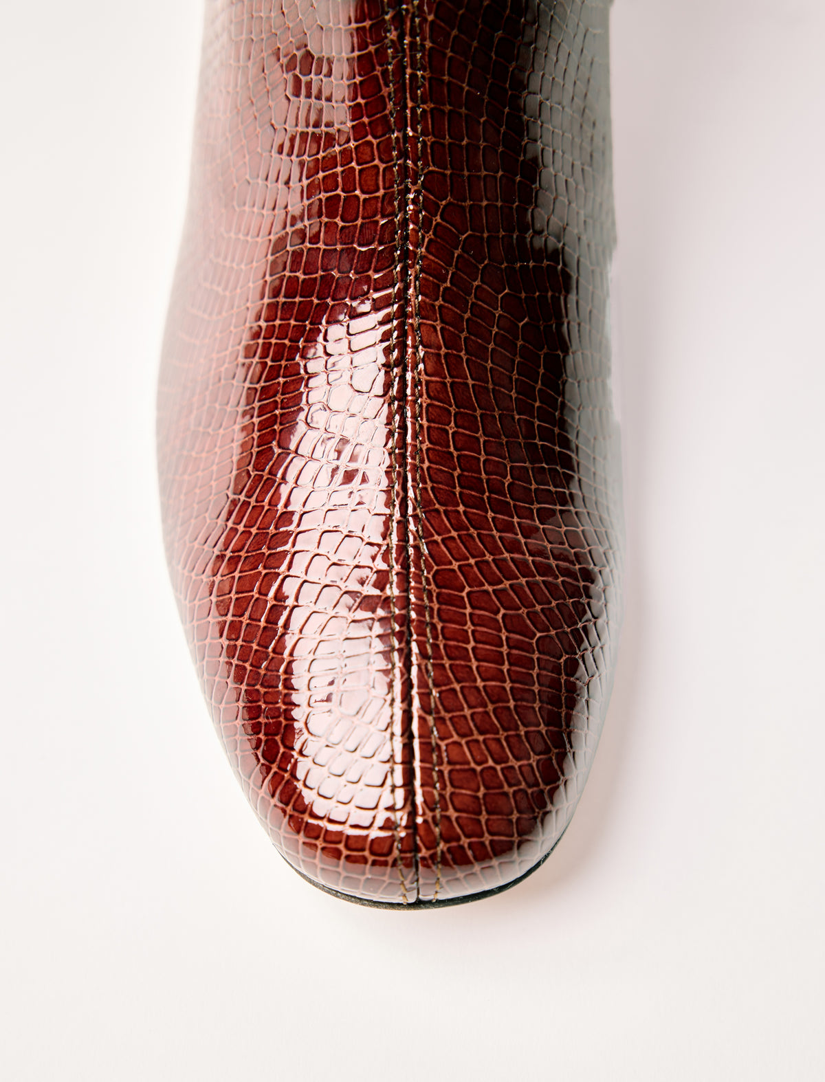 Albane - Mahogany Reptile 