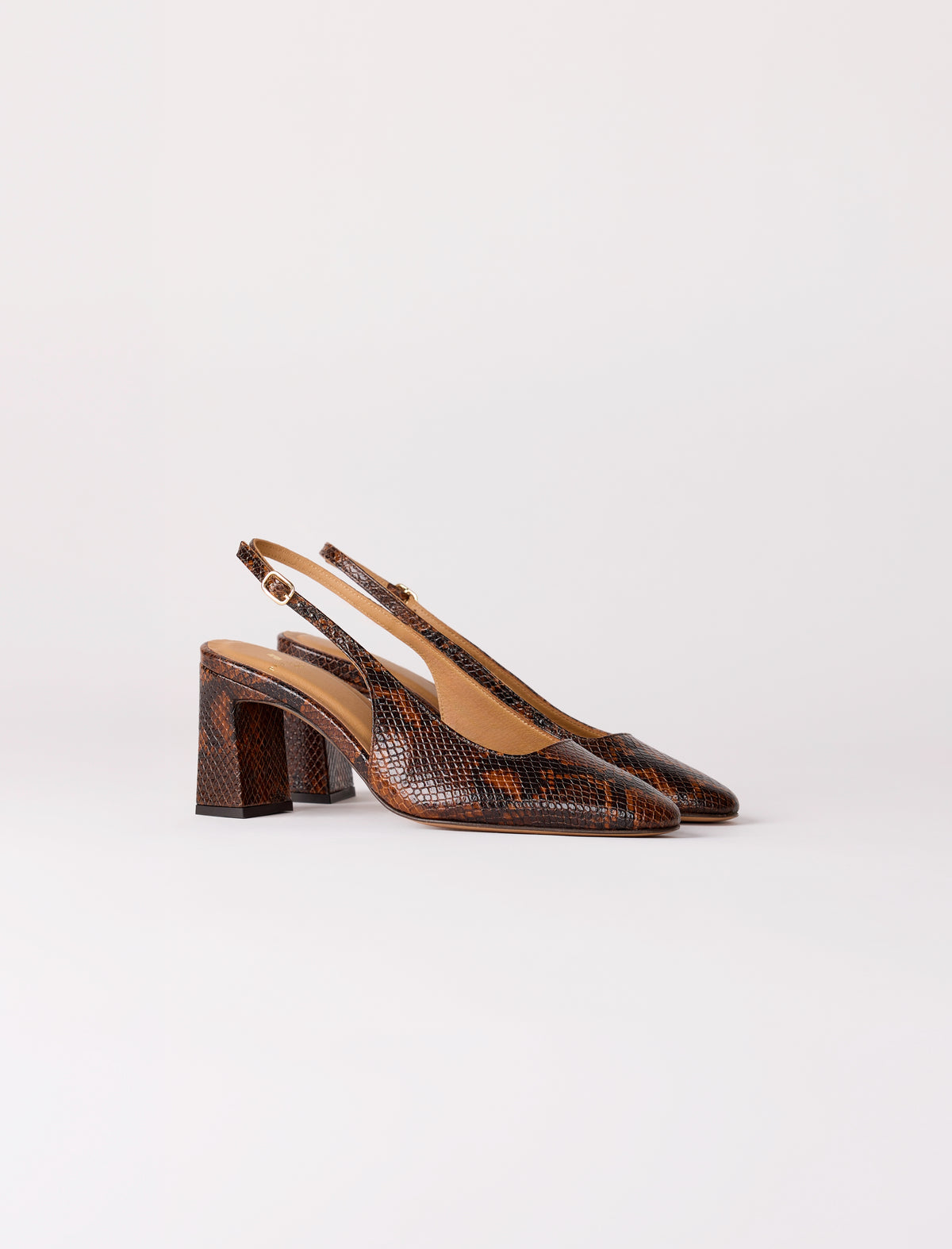 Ambre - Python