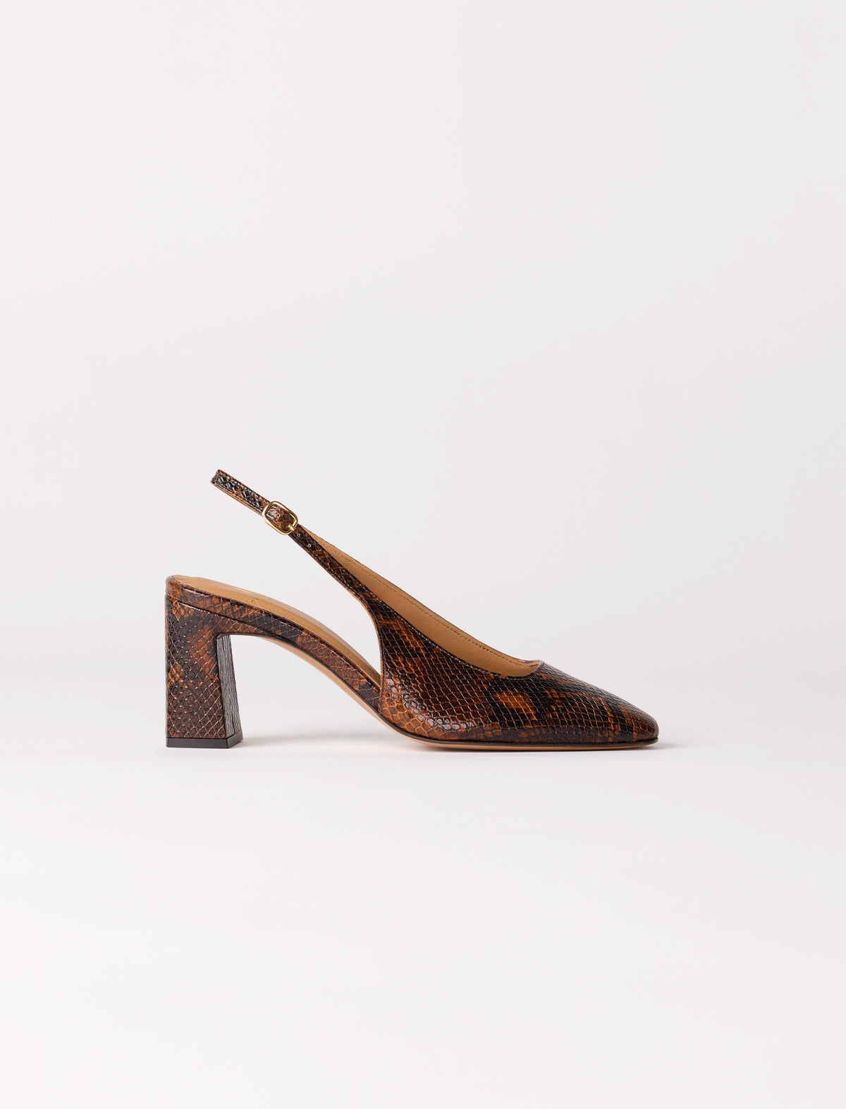 Ambre - Python