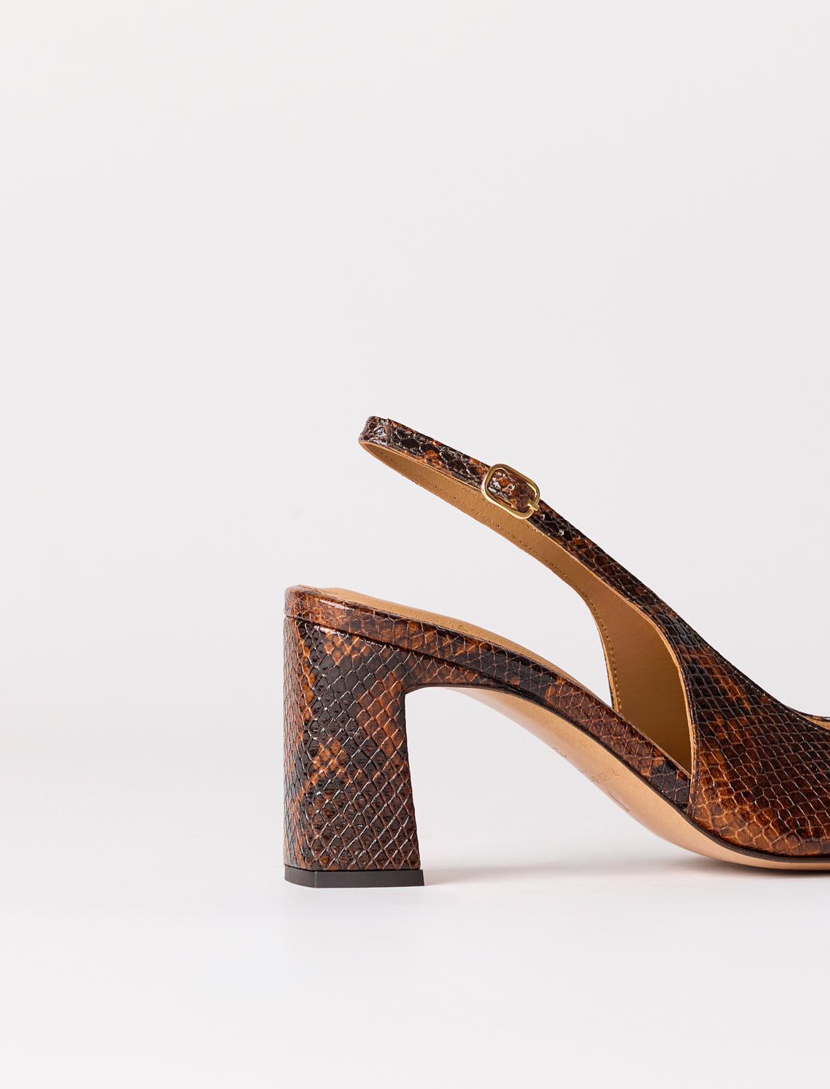 Ambre - Python