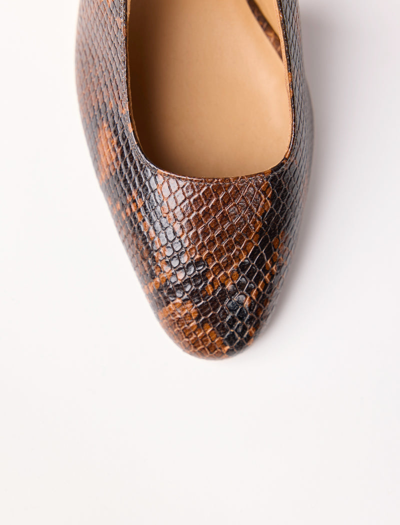 Ambre - Python  - Image principale