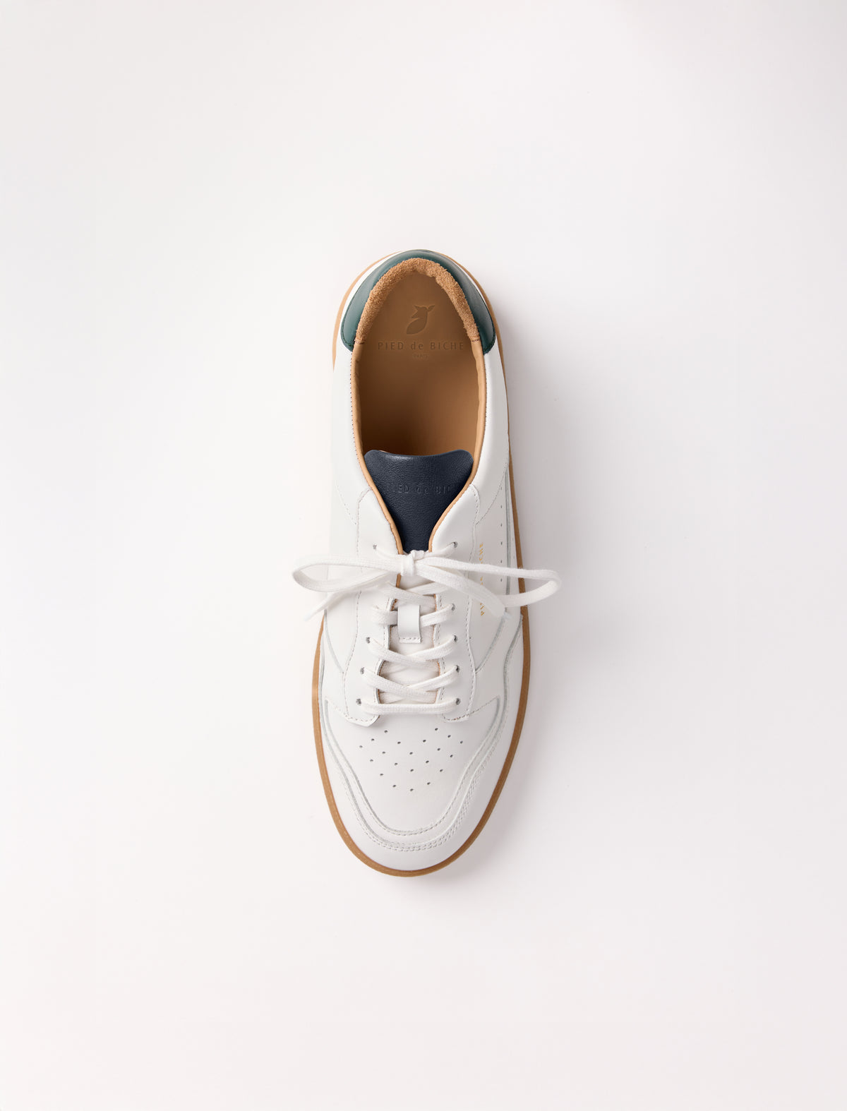 Sam - Navy  - vue 3