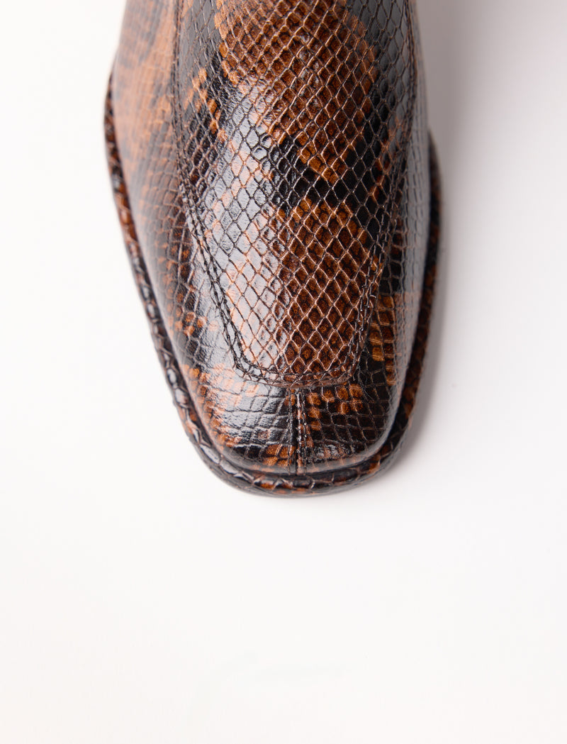 Laurène - Python - Image principale