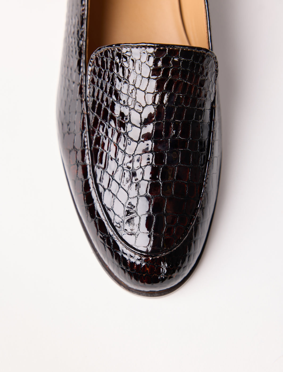 Lou - Brun reptile - vue 3