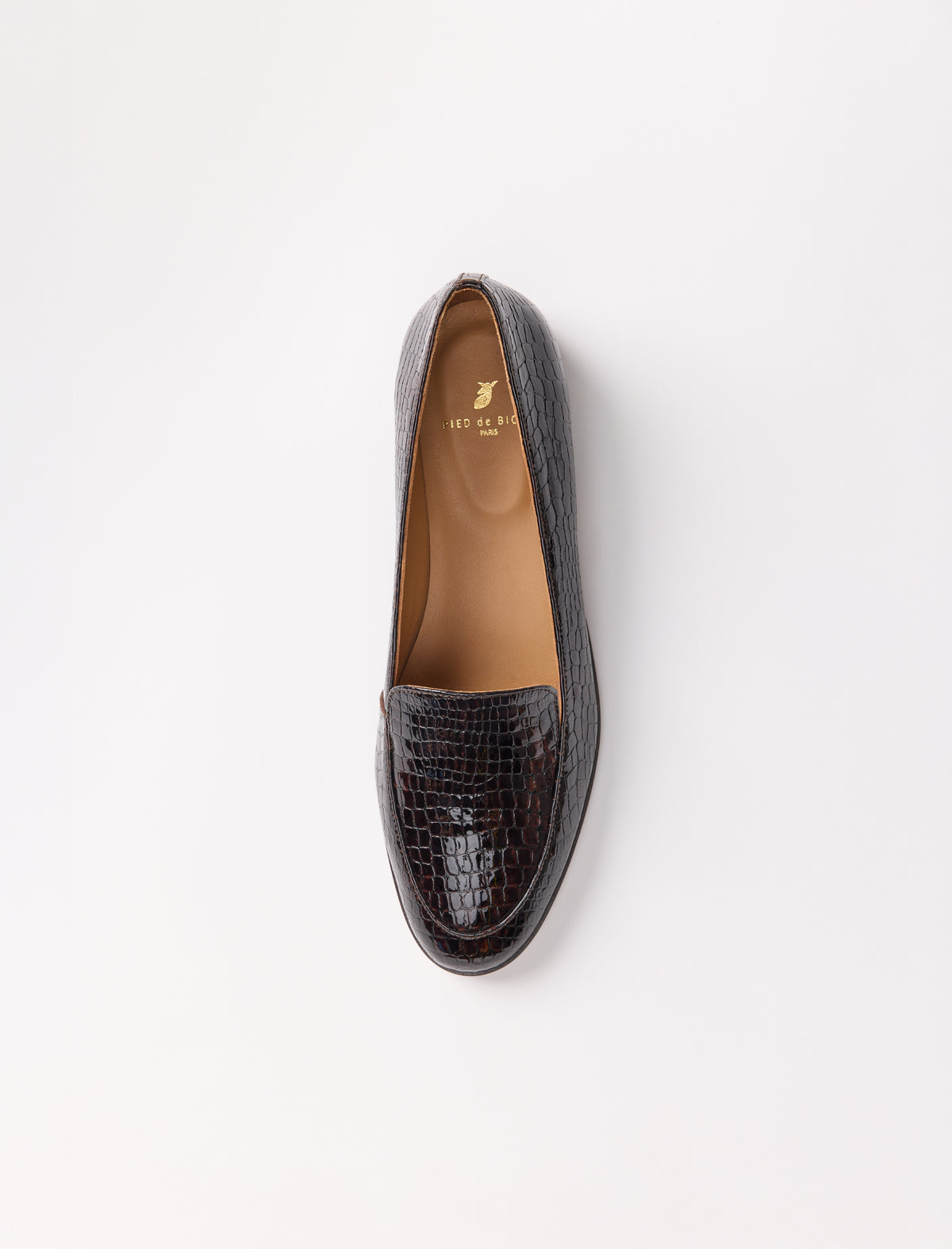 Lou - Brun reptile